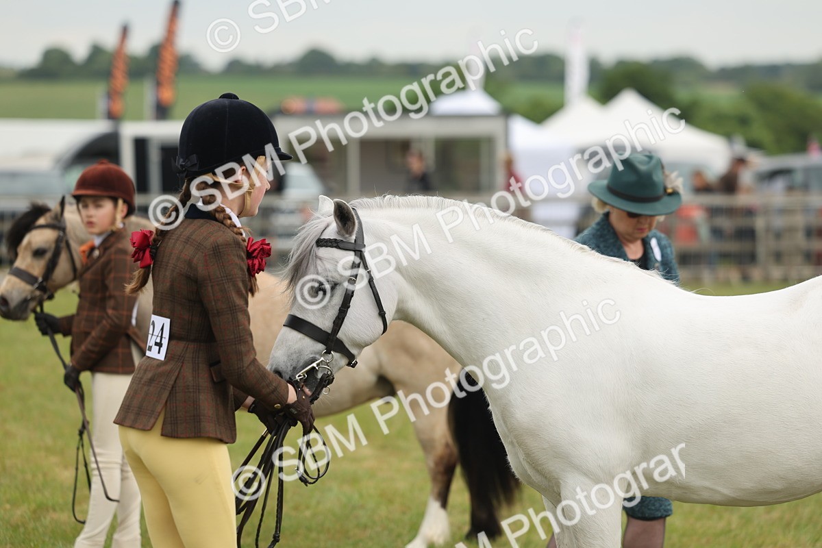 SBM_07112 - Class 76-77 - Ridden M&M Welsh Ponies