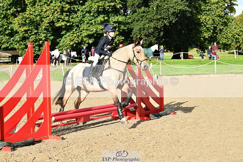 251004A-094659-00245 - Classes 1-2-3 40cm