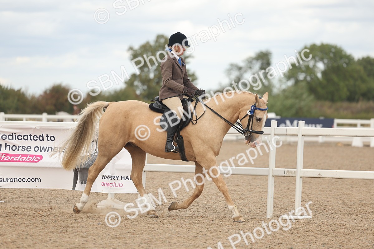 SBM_18108 - Class 315 - Best Horse-Rider Combination