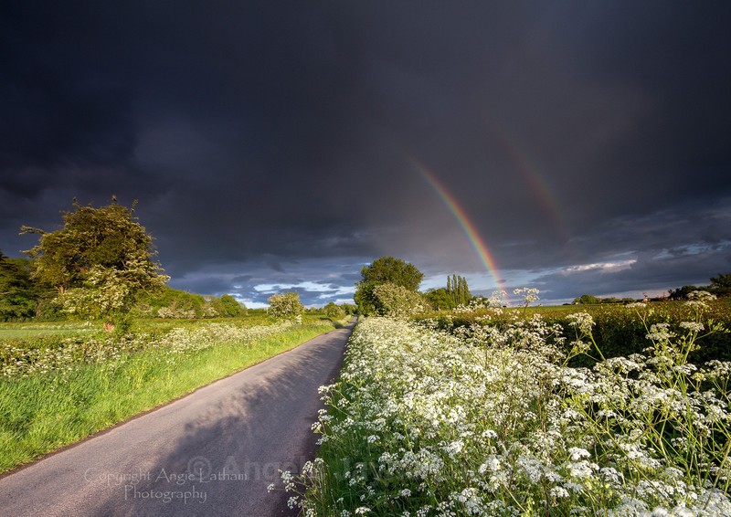 Cow Parsley & Rainbows - England & The Shires