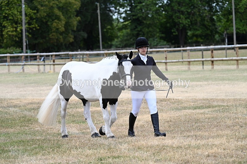 WJ7_1462 - Class 4 Prettiest Mare up to 14.2hh in hand