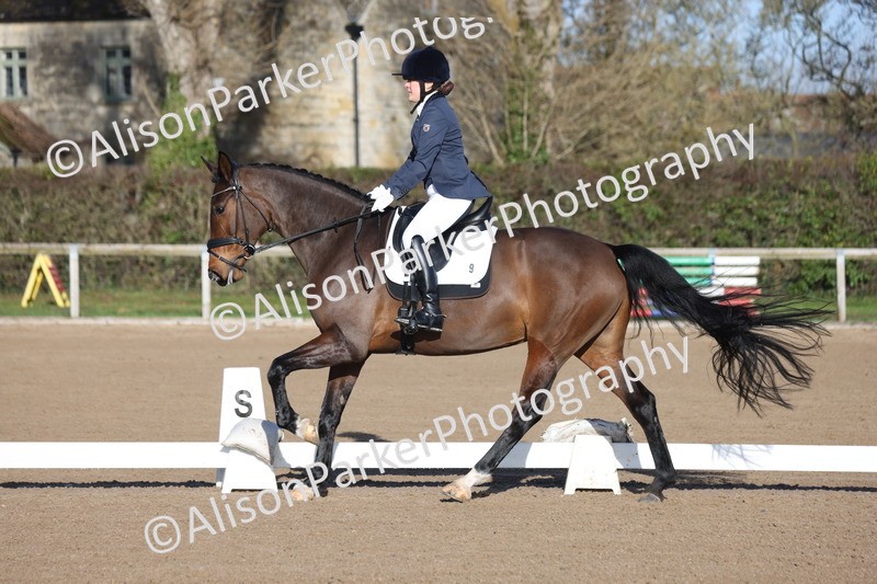 20260128-0205 - Class 3 - Novice 4