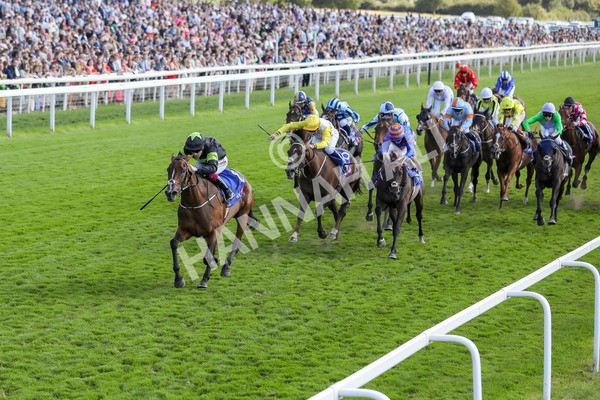 240824-Race 4-Magical Zoe-9134 - Race 4 3.35pm Sky Bet Ebor Handicap