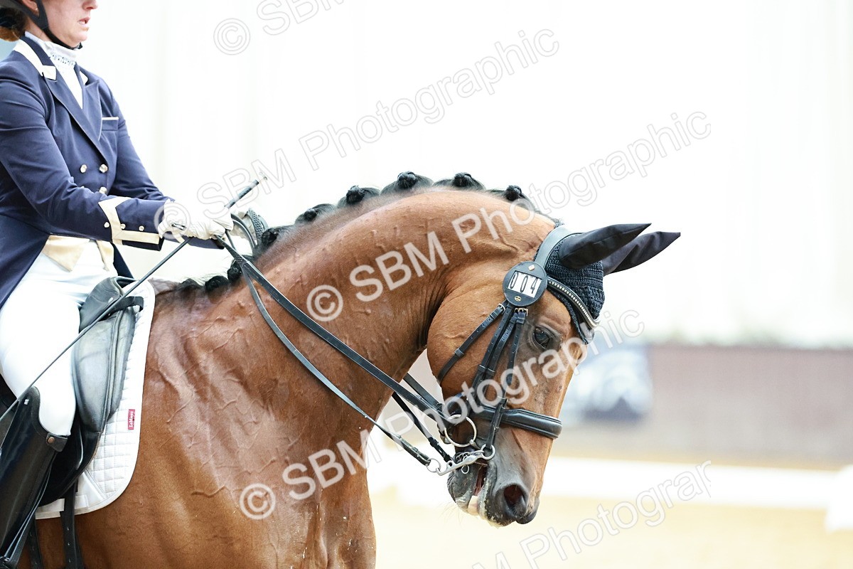 SBM_012560 - Class 3 - FEI PSG - 10.43-11.39