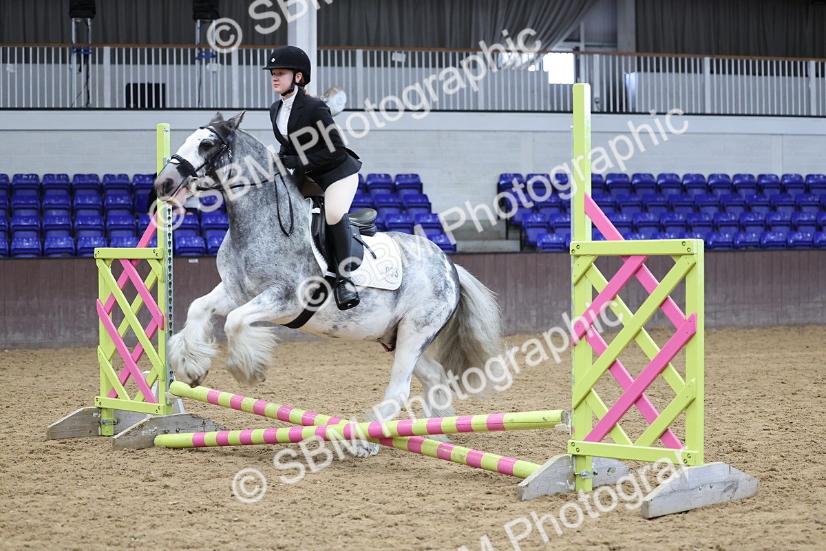 SBM_006904 - Class 1 - 40cm showjumping