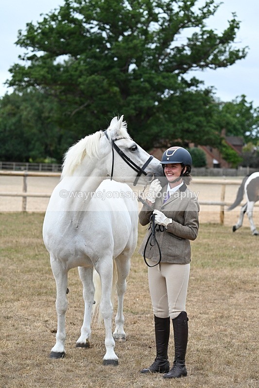 WJ7_9136 - Class 4a Prettiest Mare 14.2hh and over