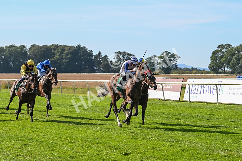 160924-Race 3-Moostar-2745 - Race 3