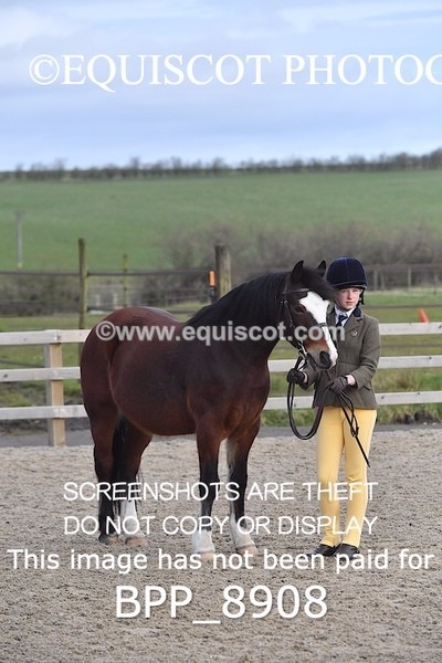 BPP_8908 - RING 2 - M&M