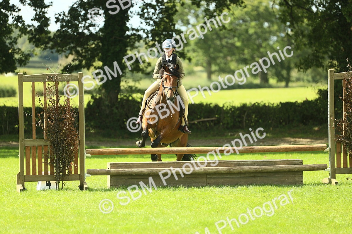 SBM_42987 - S30 - M&M Working hunter Pony