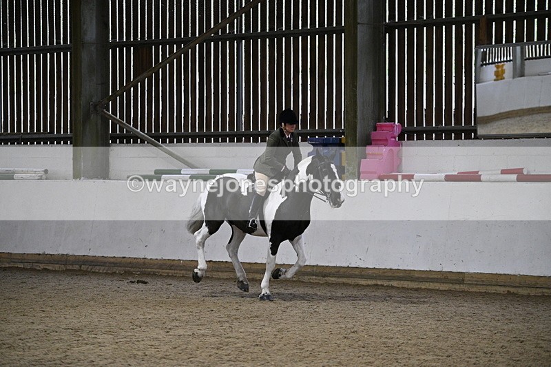 WJ7_4393 - Class 17 Ridden Cob