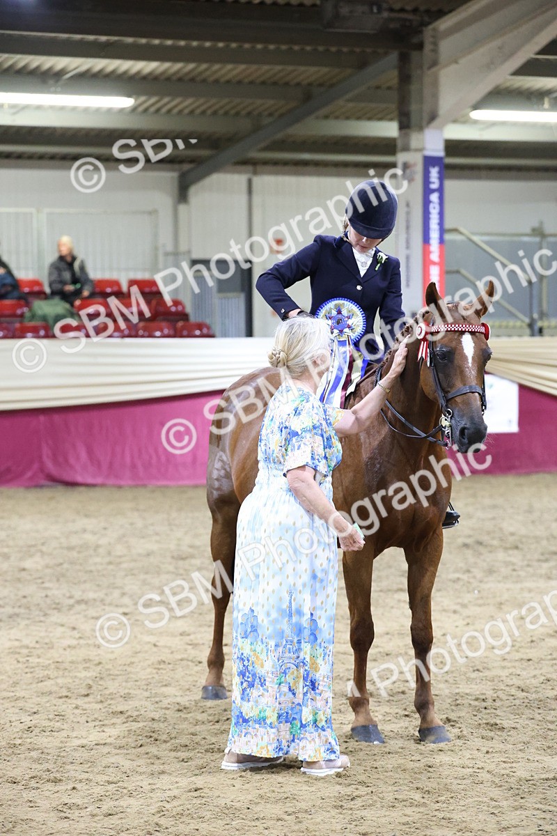 SBM_20937 - Class M - Equitation Champ