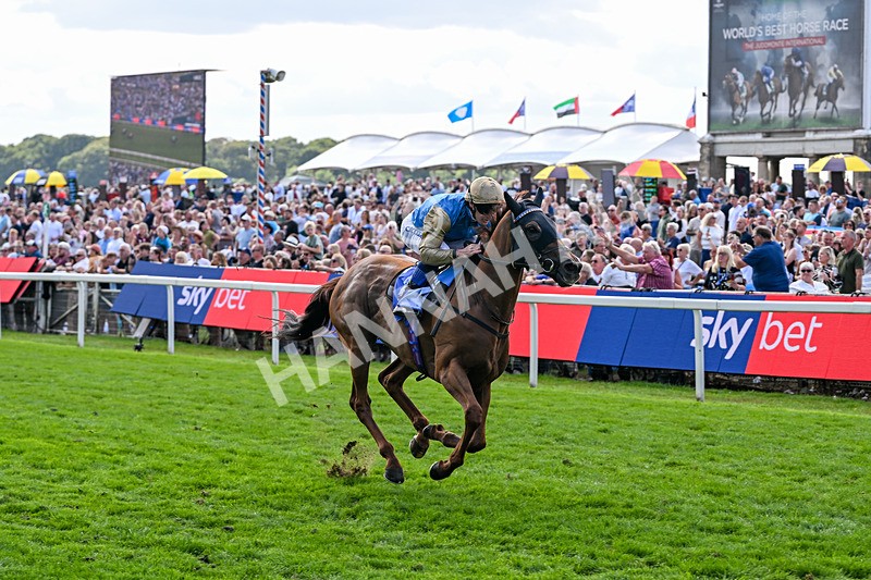 220826-Race 1-Archivist-9247 - Race 1 13.50pm Sky Bet Strensall Stakes