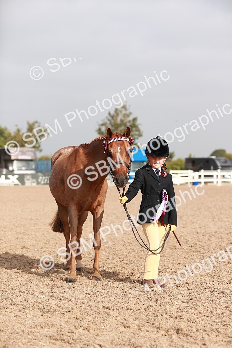 SBM_09948 - Class 203 Young Handler, 10 years and under