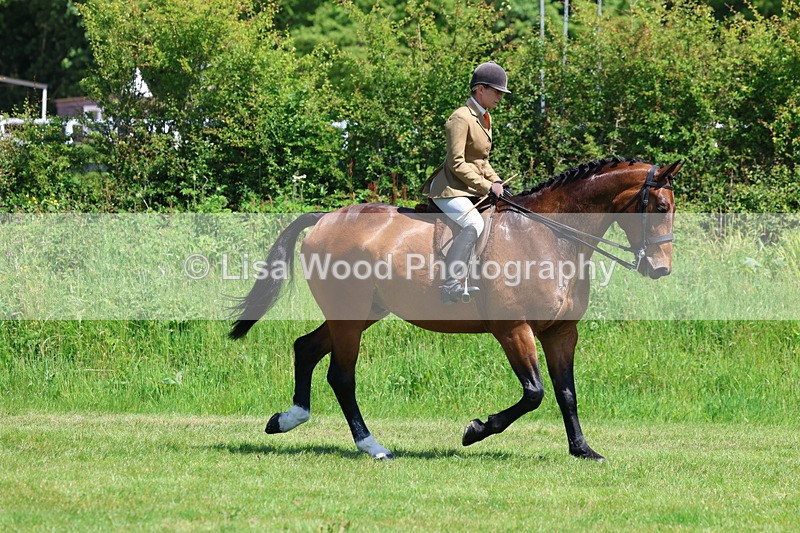 3E7A8208 - Class 13: Ridden Hunter