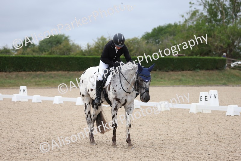 20250705-0477 - Class 5 - Novice 2