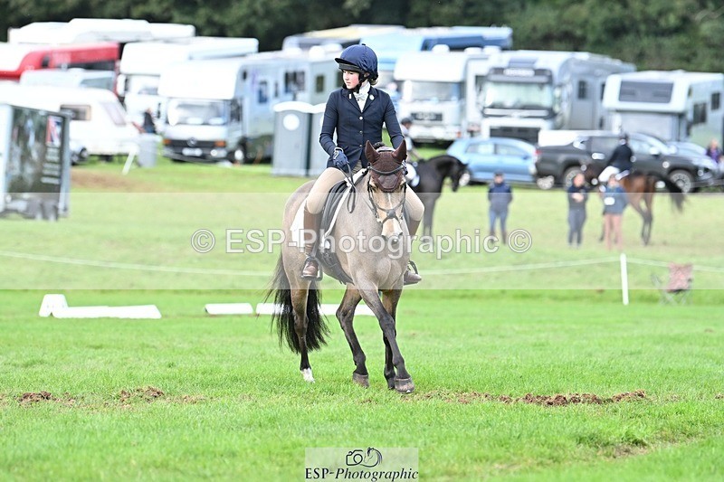 231020-161307-11629 - 558-BATHLEYHILLS.GOLDEN.SPRAY-Cleo.Whitbread-DR