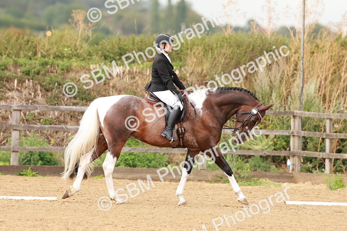 SBM_001906 - Elementary 1-2