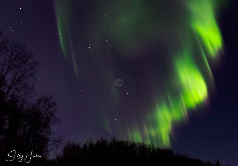 Aurora Fairbanks 10
