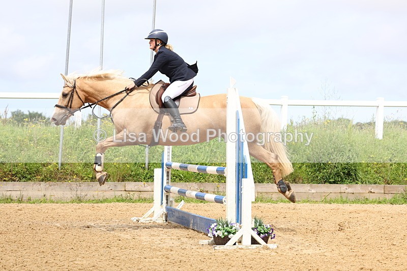 3E7A6011 - Class 4: Senior British Novice/90cm open