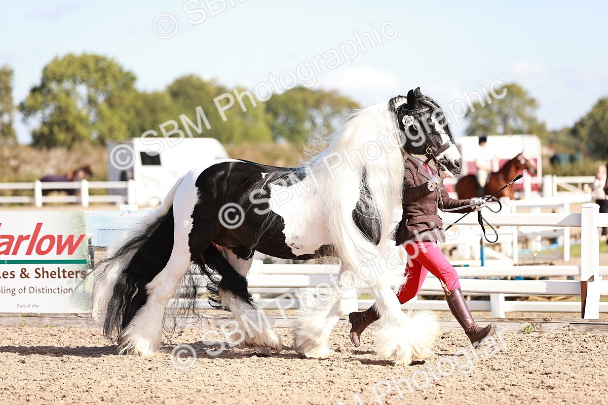 SBM_12573 - Class 404 - IH Traditional - Native Cob