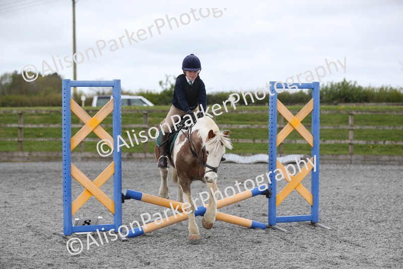 20260412-0165 - Show Jumping