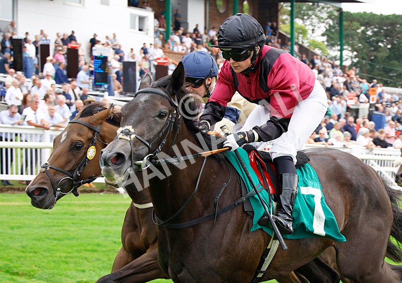 250725-Race 5-Idyllic-88698 - Race 5