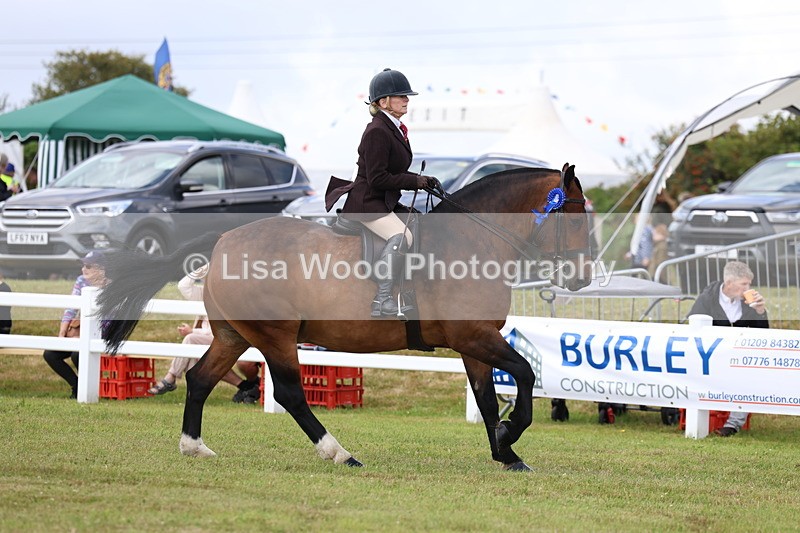 3E7A0528 - Rising Star Ridden Championship