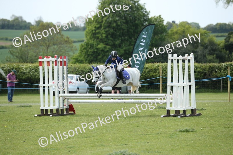 20260426-2112 - Class 15 - Absolute Novice 70cm