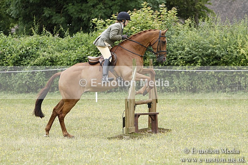 BVR160717-1711 - Ring 3 BVRC Show 16/07/17