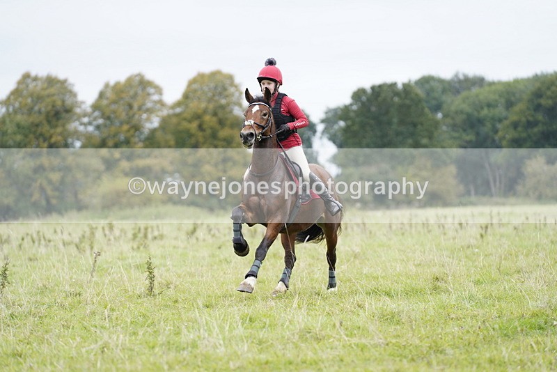 _DSC6591 - Time at Photographer 10:13 to 10:42