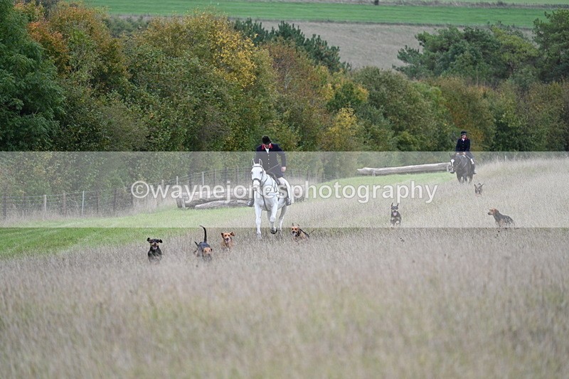 WJ7_3547 - Camera 1 Line 1