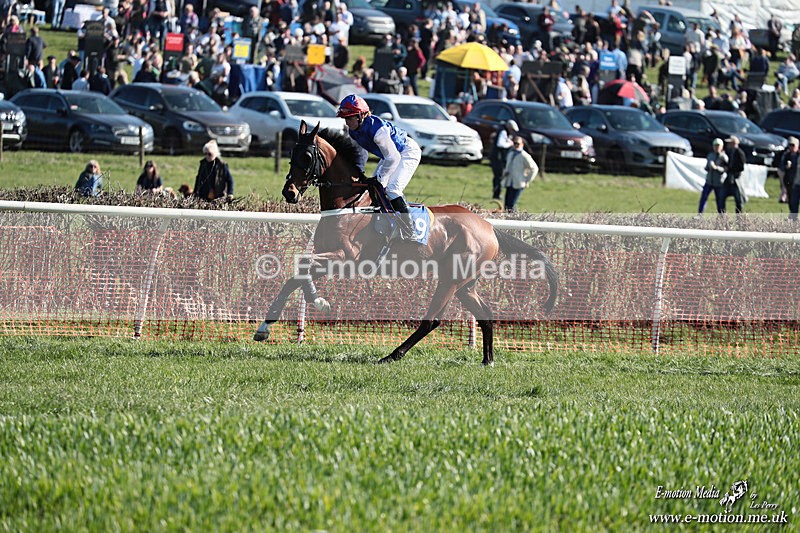 PtP 210326 267 - VWH Cirencester Races 21/03/26