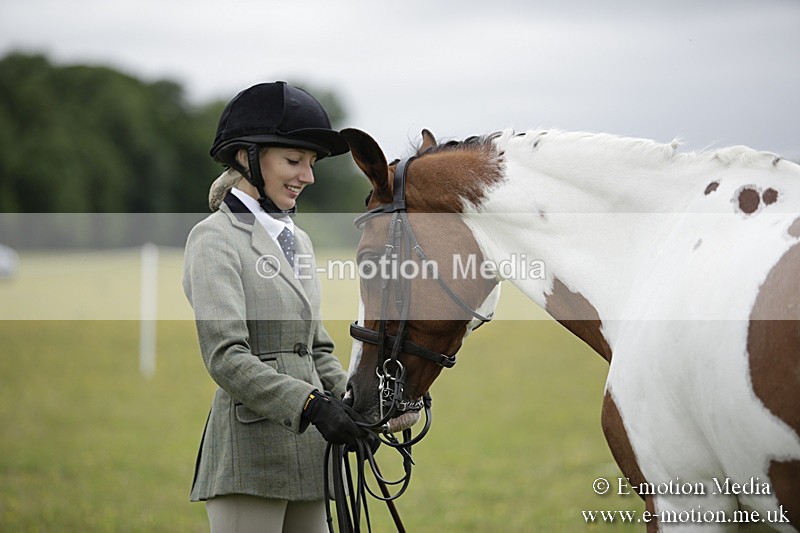 BVR160717-844 - Ring 2 BVRC Show 16/07/17