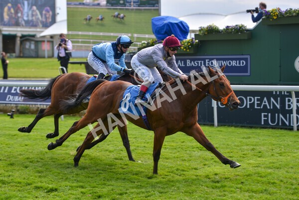 yr13052021r6-42 - Race 6 4.15pm Constant Security EBFstallions.com Maiden Stakes