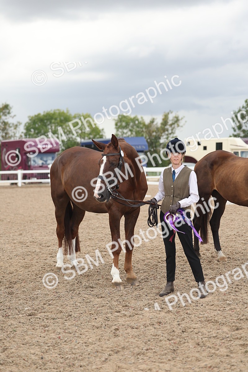 SBM_06929 - Class 25 - IH Foreign Breeds - Purebred