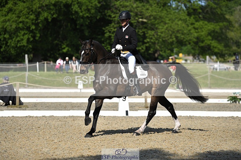 230525-094743-01666 - 309-PLOT_TWIST_B-Tom_Jackson-WEDTrotUp+DR