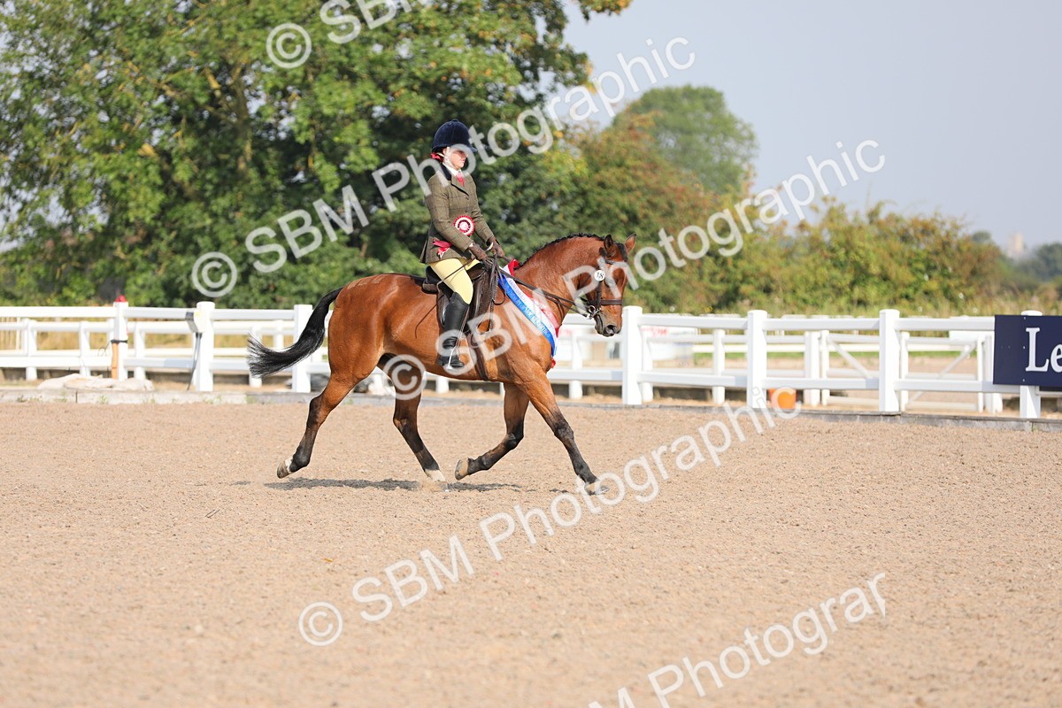 SBM_10948 - Class 304 Ridden Part Bred Horse/Pony