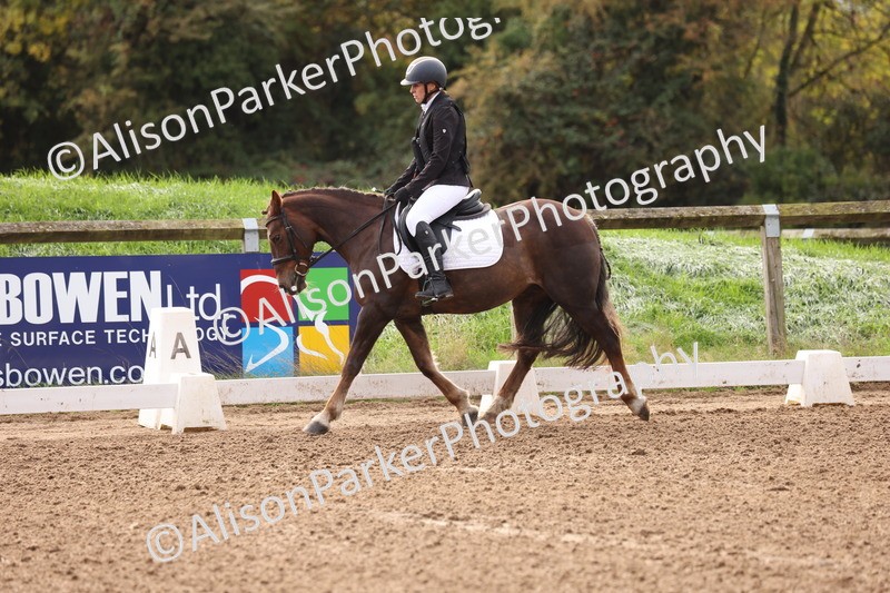 20251021-0017 - Class 2 - Intro 4