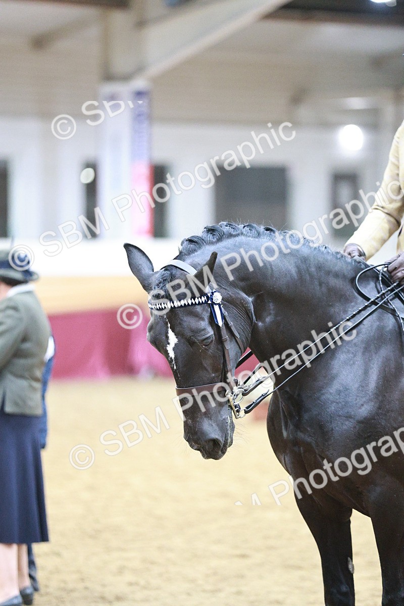 SBM_09006 - Class 12R - Regional Ridden Pre-Vet