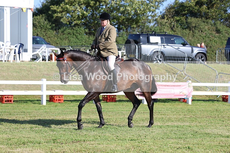 3E7A5371 - Class 2: Rising Star Large Hack/Riding Horse