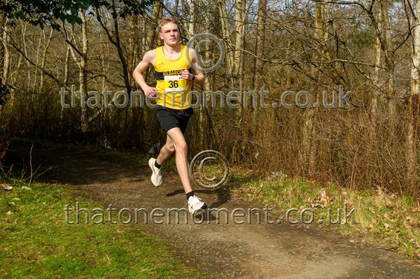 Livi26-815515 - Male Set One