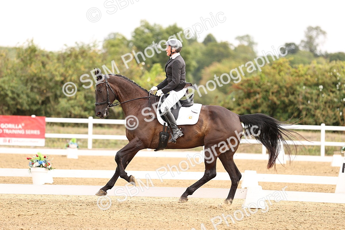 SBM_011580 - Class 1 - Medium 5