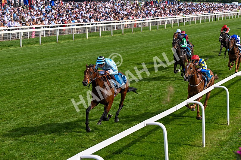 230526-Race 6-Pearl River-0620 - Race 6 16.25pm Royal Yorkshire Regiment Handicap