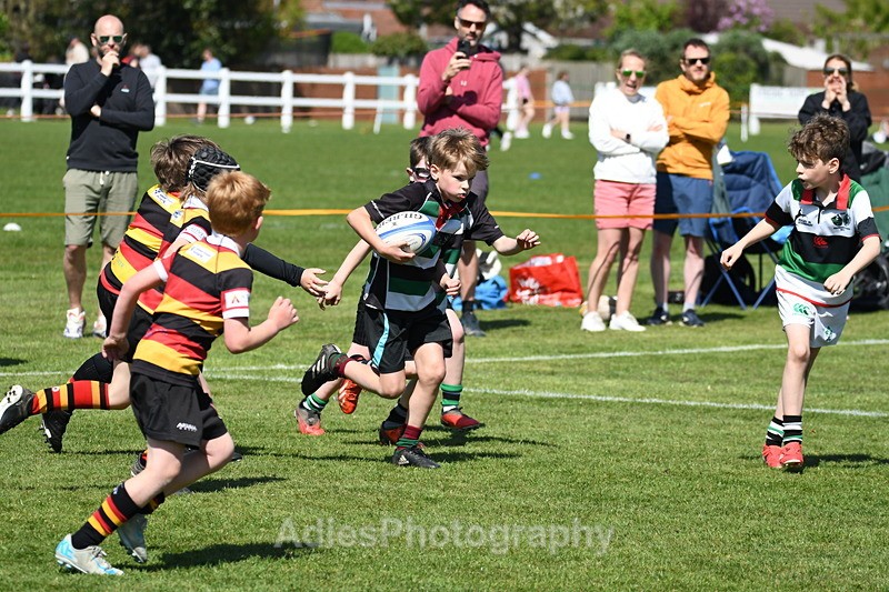  - Selby Rugby Festival 2025