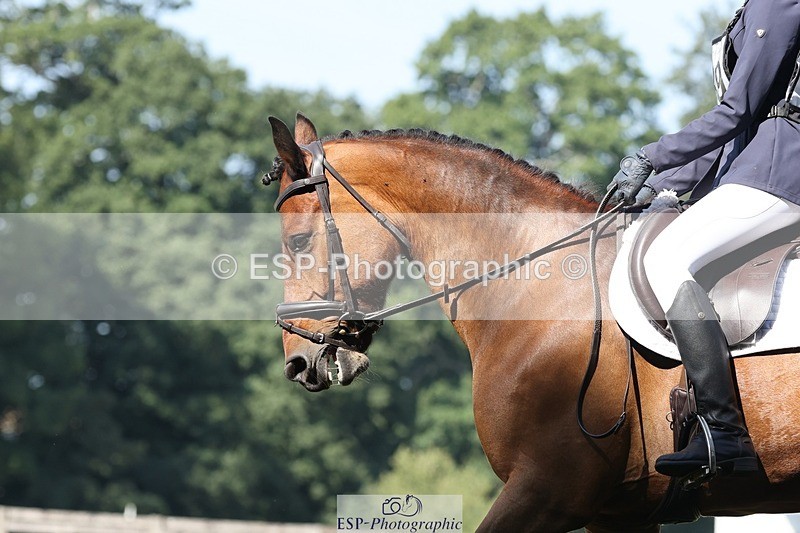 250823A-105206-27820 - Arena D