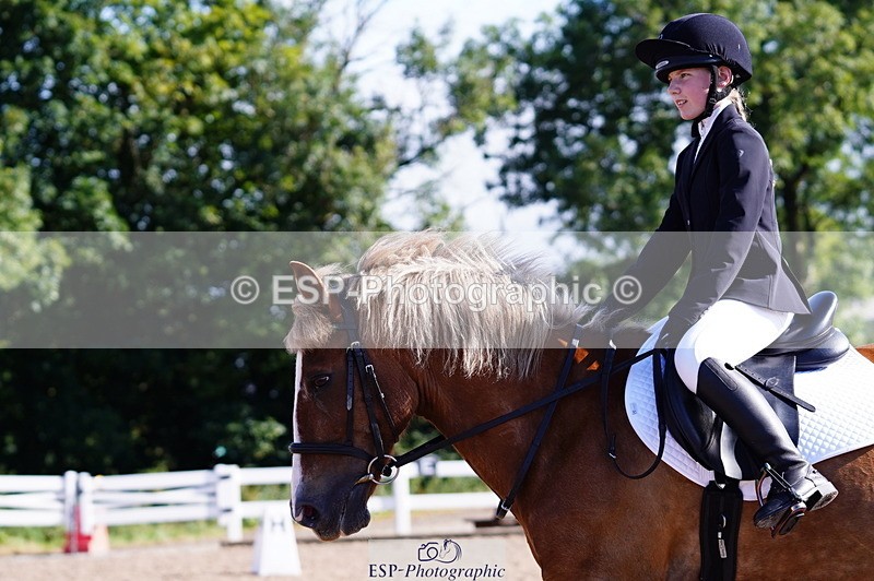 240809A-091052-00166 - Dressage Competition