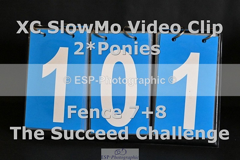 ESP_101 - A-101-Bethy.Naylor-Davis