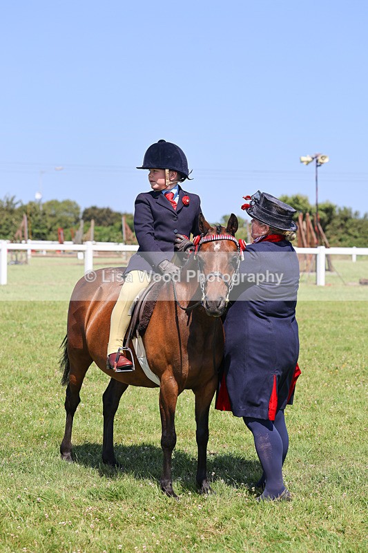 IMG_2193 - Class 36: Part Bred Ridden M & M