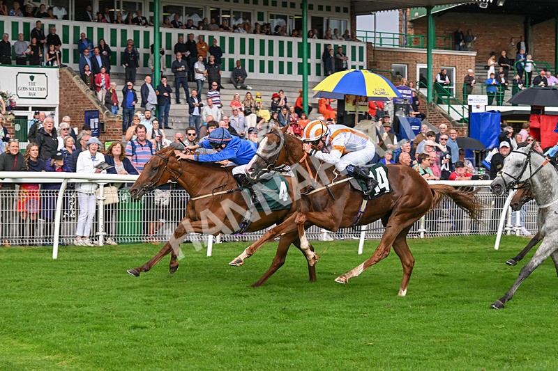 280824-Race 5-Hidden Pearl-4789 - Race 5