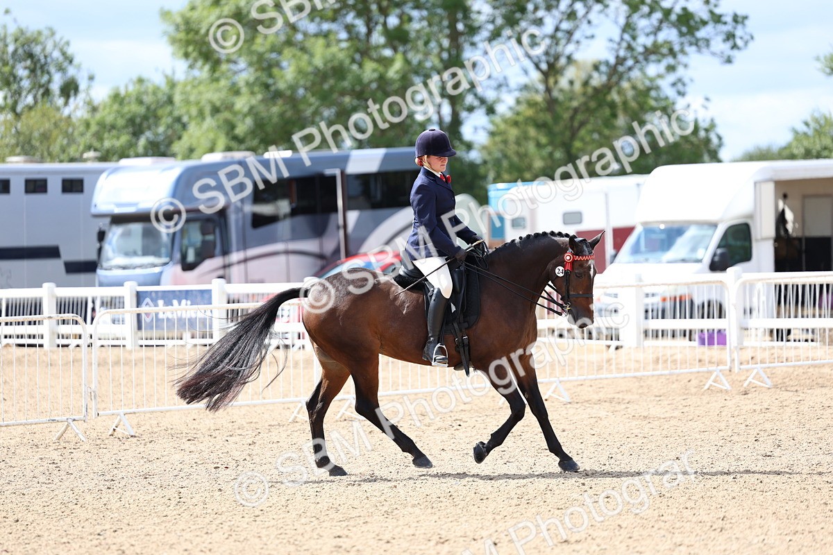 SBM_13299 - Class 311 - Ridden Show Pony Show Hunter Pony